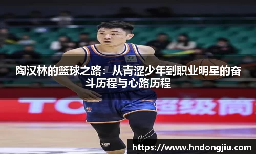 陶汉林的篮球之路：从青涩少年到职业明星的奋斗历程与心路历程